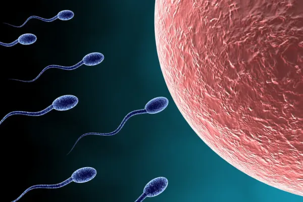 Yapay Zeka ile Sperm Seçimi